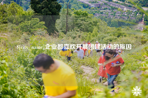 海口企业都喜欢开展团建活动的原因